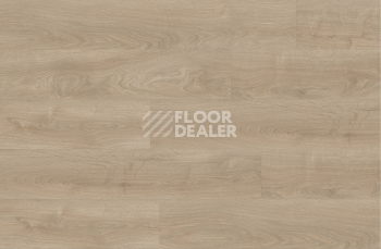 Moduleo Next Acoustic дерево SILVERLEAF OAK 311 BO фото 3 | FLOORDEALER