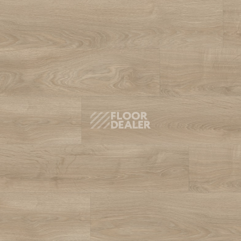 Moduleo Next Acoustic дерево SILVERLEAF OAK 311 BO фото 3 | FLOORDEALER