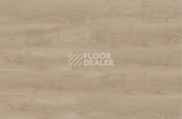 Кварцвиниловые полы Moduleo Next Acoustic дерево SILVERLEAF OAK 311 BO фото 3 | FLOORDEALER