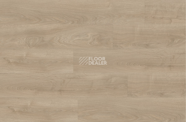 Кварцвиниловые полы Next Acoustic дерево SILVERLEAF OAK 311 BO фото 3 | FLOORDEALER