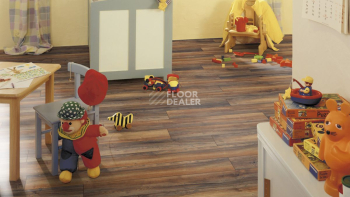 Kronotex Robusto 12мм d3570 Дуб Портовый фото 17 | FLOORDEALER