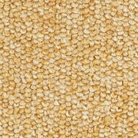 Ковролин Balsan Centaure 2000 Centaure 330 фото 1 | FLOORDEALER