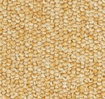 Ковролин Balsan Centaure 2000 Centaure 330 фото 1 | FLOORDEALER