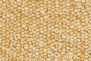 Ковролин Balsan Centaure 2000 Centaure 330 фото  | FLOORDEALER