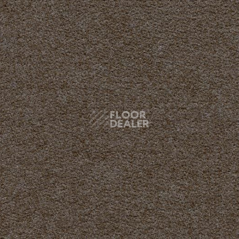Ковролин Forbo Flotex wonderlab 07 900274 Espresso фото 1 | FLOORDEALER