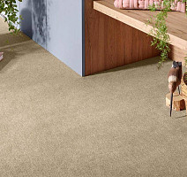 Vorwerk Superior 1072/Nutria Comfort Vorwerk 8j91 фото 2 | FLOORDEALER