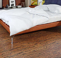 Natural Cork Tigre фото 4 | FLOORDEALER