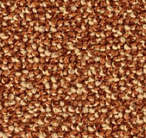 Ковролин Balsan Kaviar 450 фото 1 | FLOORDEALER