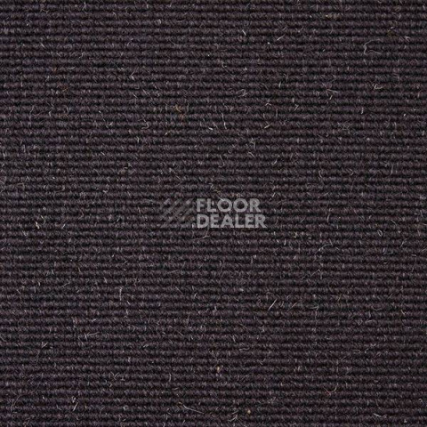Ковролин Carpet Concept Eco Wool 595067 фото 1 | FLOORDEALER