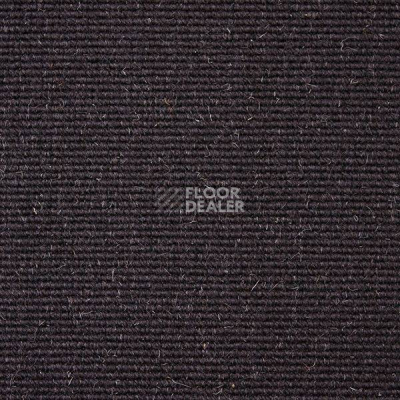 Ковролин Carpet Concept Eco Wool 595067 фото 1 | FLOORDEALER