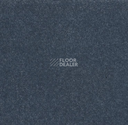 Ковролин Big Royale 893 фото 1 | FLOORDEALER