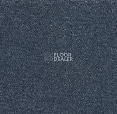 Ковролин Big Royale 893 фото 1 | FLOORDEALER