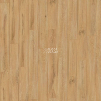 Kronotex Exquisit 8мм d80062 Дуб Фермерский фото 2 | FLOORDEALER