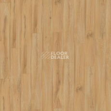 Kronotex Exquisit 8мм d80062 Дуб Фермерский фото 2 | FLOORDEALER