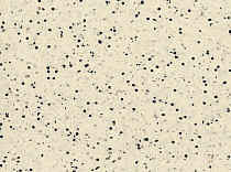 Линолеум Polyflor OHMega Ec 6003 фото 1 | FLOORDEALER