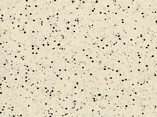 Линолеум Polyflor OHMega Ec 6003 фото 1 | FLOORDEALER