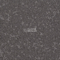 Ковровая плитка Desso Retrace ac 63 9524 фото 1 | FLOORDEALER