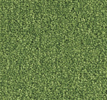 Ковролин Balsan Scenario 244 фото 1 | FLOORDEALER