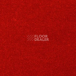 Ковролин AW The Velvet Oinone 10 фото 1 | FLOORDEALER