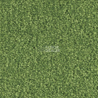 Ковролин Balsan Scenario 244 фото 1 | FLOORDEALER