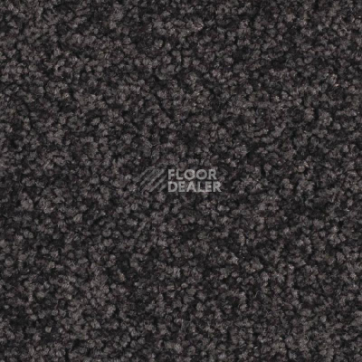 Ковролин Balsan Serenite 980 фото 1 | FLOORDEALER