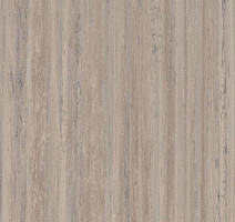 Forbo Marmoleum Неожиданная природа 3573 фото 1 | FLOORDEALER