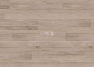 Terhurne Trend Line 243мм 1909 Вяз Кафе-бар 1101020894 фото 3 | FLOORDEALER