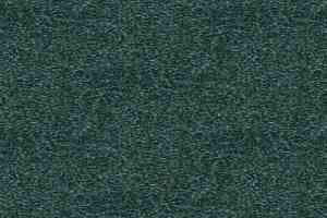 Ковролин Tapibel Spirit 8872 фото  | FLOORDEALER