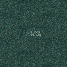 Ковролин Tapibel Spirit 8872 фото 1 | FLOORDEALER