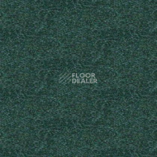 Ковролин Tapibel Spirit 8872 фото 1 | FLOORDEALER