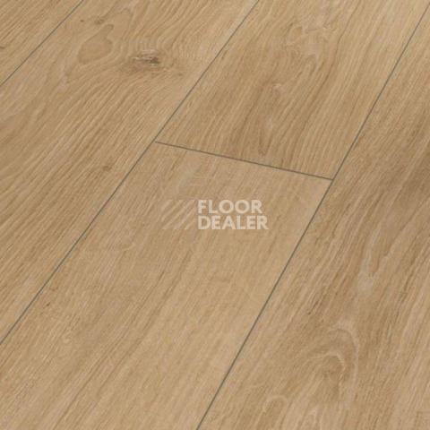 Ламинат Parador Classic 1050 4V 1601445 Дуб Студийный Натуральный фото 1 | FLOORDEALER
