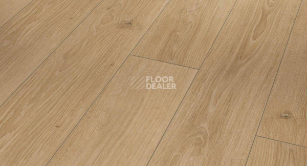 Ламинат Parador Classic 1050 4V 1601445 Дуб Студийный Натуральный фото 1 | FLOORDEALER