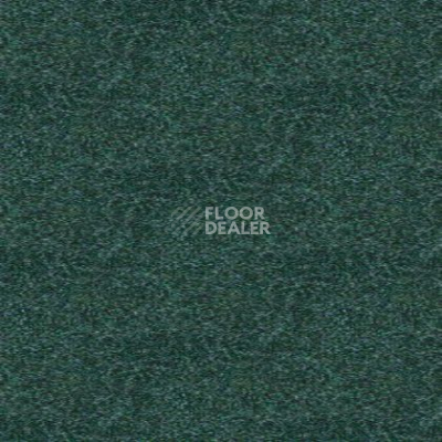 Ковролин Tapibel Spirit 8872 фото 1 | FLOORDEALER