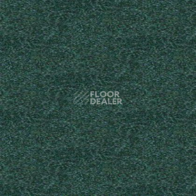 Ковролин Tapibel Spirit 8872 фото 1 | FLOORDEALER