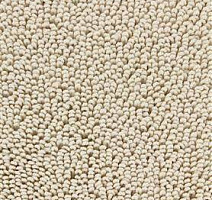 Ковролин Edel Cocoon 112 фото 1 | FLOORDEALER