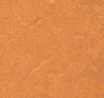 Линолеум Forbo Marmoleum Sport 83176 фото 1 | FLOORDEALER