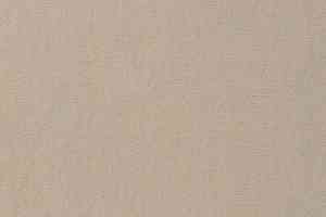 Ковролин Vorwerk Passion 1021 Vorwerk 8f92 фото  | FLOORDEALER