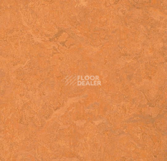 Линолеум Forbo Marmoleum Sport 83176 фото 1 | FLOORDEALER