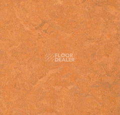 Forbo Marmoleum Sport 83176 фото 1 | FLOORDEALER