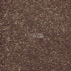 Ковролин AW Suspense 44 фото 1 | FLOORDEALER