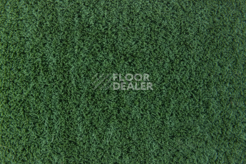 Forbo Flotex Colour s 482010 Penang Avergreen фото 2 | FLOORDEALER