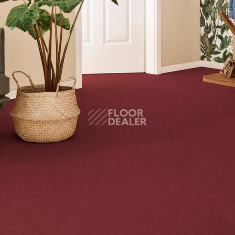 Vorwerk Superior 1071 Vorwerk 1n81 фото 2 | FLOORDEALER