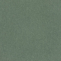 Interface Palette 2000 Iguana фото 1 | FLOORDEALER