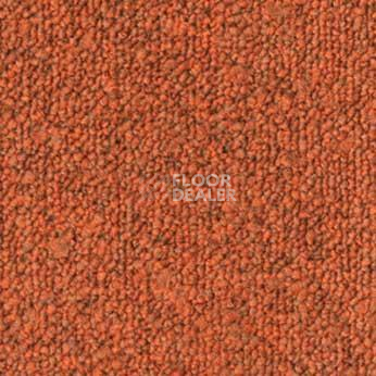 Ковровая плитка Tessera Apex 640 275 фото 1 | FLOORDEALER