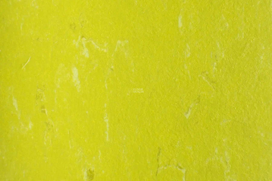 Forbo Marmoleum Solid Piano 3646-364635 young grass фото 2 | FLOORDEALER