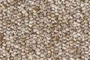 Ковролин Balsan Centaure 2000 Centaure 740 фото  | FLOORDEALER