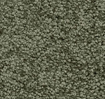 Ковролин AW Gaia Solstice 29 фото 1 | FLOORDEALER