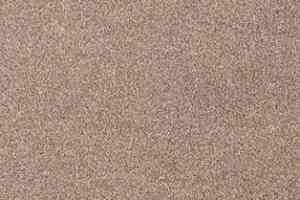 Ковролин AW Grand 49 фото  | FLOORDEALER