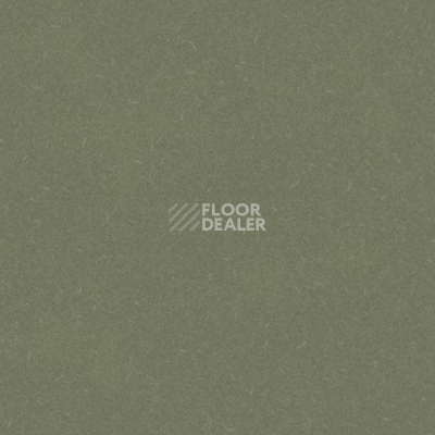 Линолеум Grabo Silver Knight Acoustic 9 455_864-7801 фото 1 | FLOORDEALER