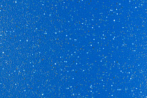 Линолеум Forbo SportLine Standart Fr 5040 фото 1 | FLOORDEALER